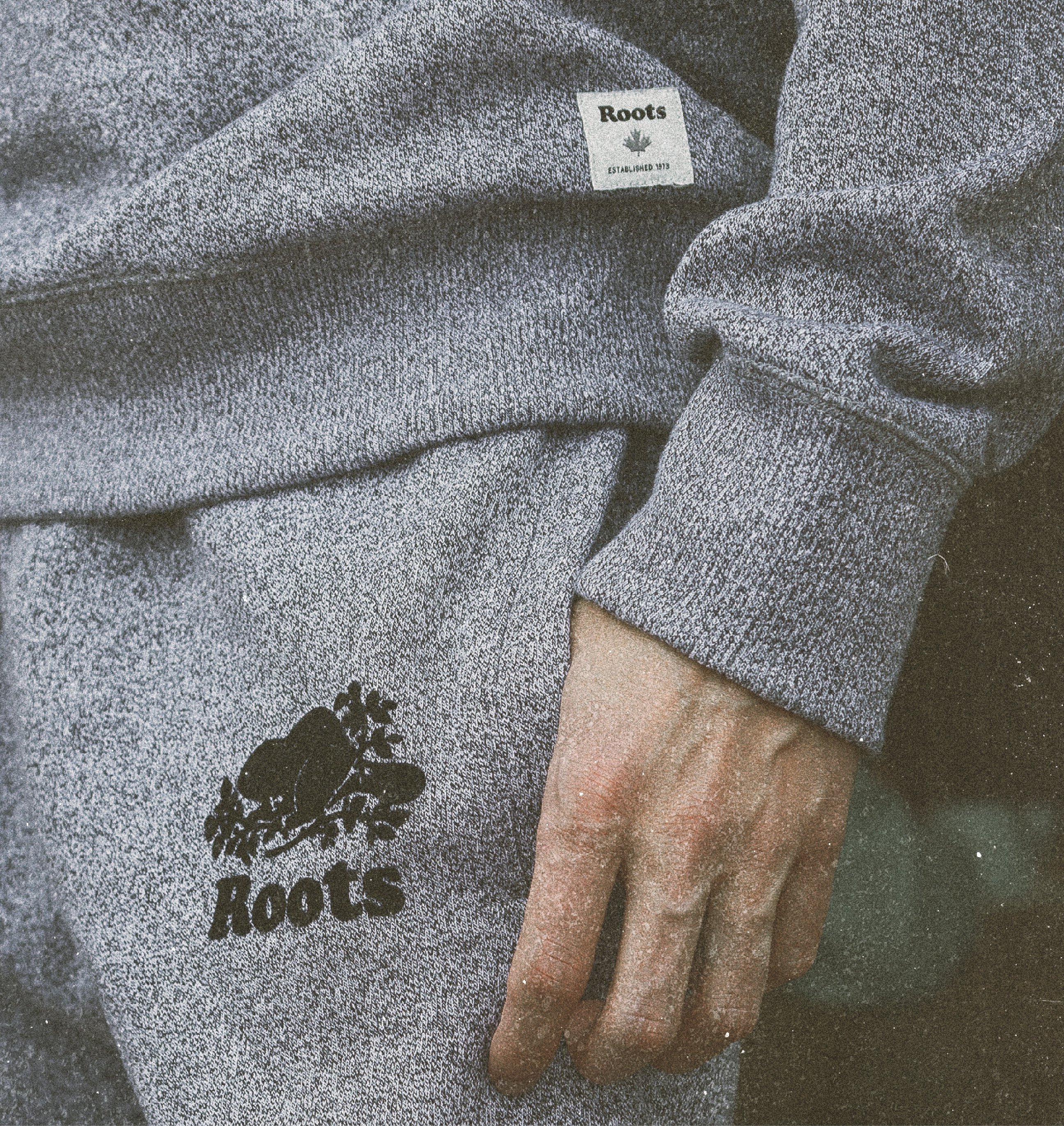 Roots_Blog Image-02
